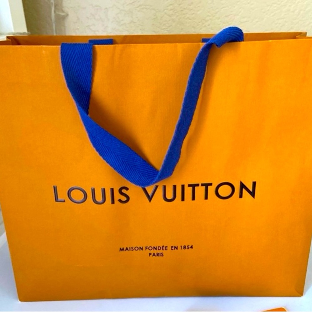 Louis Vuitton medium storage / gift bag.